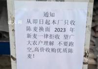 面粉廠不收今年新小麥?當地回應