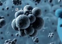 北京發現兩例猴痘病例 兩名病例均是通過親密接觸感染