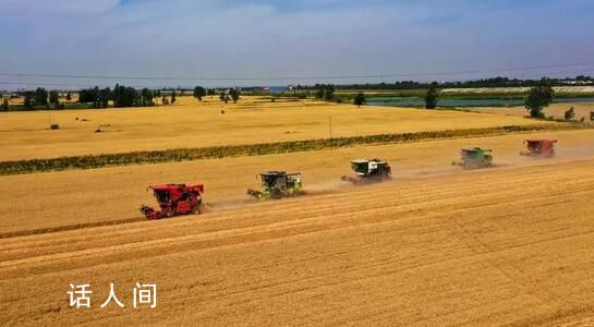 全國“三夏”麥收進度過半 進度53.8%