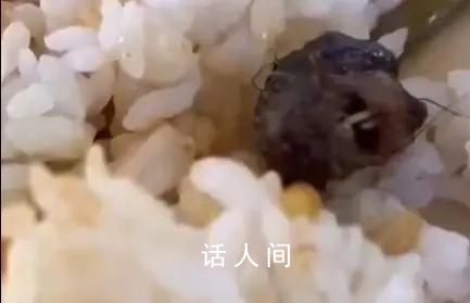 鼠頭鴨脖食堂意見反饋群曝光 每個月在群里學生投訴菜品問題的圖片20張還不止