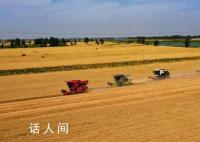全國“三夏”麥收進度過半 進度53.8%