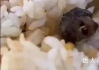 鼠頭受害股出現 絕味鴨脖股價下跌