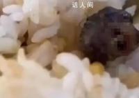 到底是鼠是鴨不應該這么難查 陷入羅生門