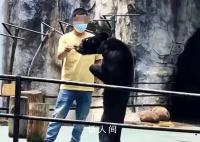 動物園一黑熊骨瘦如柴?園方回應