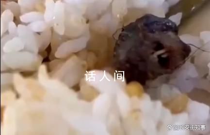 江西酒鴨脖事件成立聯合調查組 進行調查