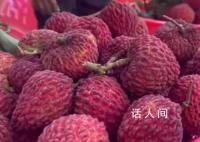 胖東來荔枝打開全是蟲子 直呼惡心