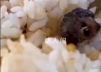 江西酒鴨脖事件成立聯(lián)合調(diào)查組 進(jìn)行調(diào)查