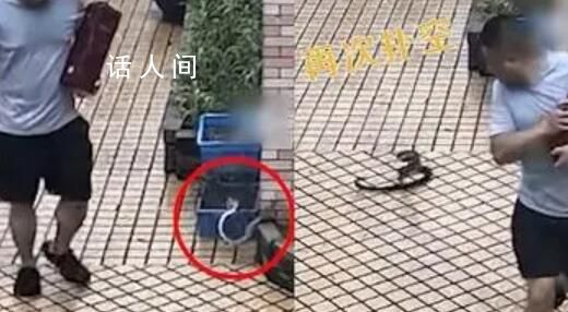 吳京和賈靜雯牽手熱聊 引發了粉絲們的熱烈關注