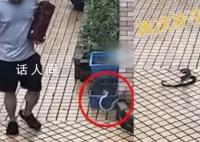 男子被墻角的蛇跳出攻擊 為什么這類蛇會主動攻擊人類