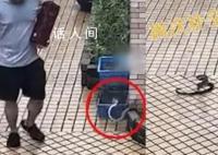 吳京和賈靜雯牽手熱聊 引發了粉絲們的熱烈關注
