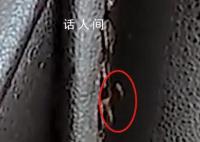 按摩椅座套出現(xiàn)蟲子 廣州南站致歉