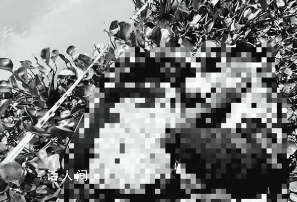 中國(guó)男子被同胞殺害藏尸行李箱 4名嫌疑人落網(wǎng)