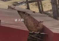 吉林村民搭浮橋收費(fèi)被判尋釁滋事 法院判決認(rèn)定罪名成立