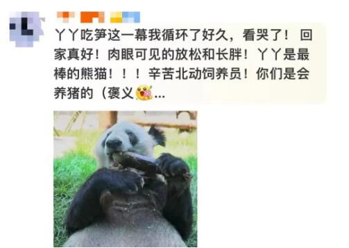 丫丫最新干飯視頻 網(wǎng)友驚喜盼來(lái)了最新動(dòng)態(tài)