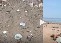 大學生旅游途中發現疑似明清瓷器 正準備上交有關部門勘查
