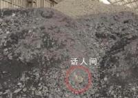 被絞死男子家屬:工人疑見尸塊未報告