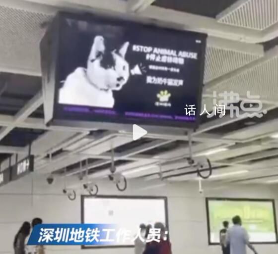 深圳地鐵投放反虐動物廣告遭投訴 稱貓狗一年咬傷4000萬人老百姓深受其苦