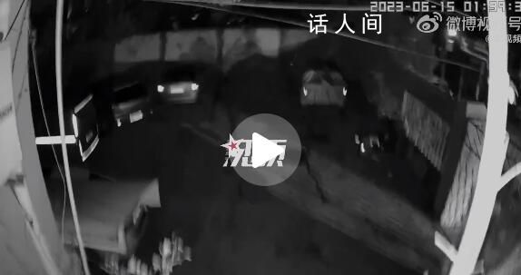 小狗在上海深夜地震前狂叫 上海青浦區發生3.1級地震