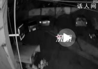 小狗在上海深夜地震前狂叫 上海青浦區(qū)發(fā)生3.1級地震