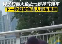 男子釣到大魚單手騎車被甩翻 實在是令人哭笑不得