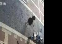 “丟棄女兒”爸爸回應:一時糊涂