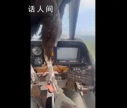 巨鳥撞穿飛機擋風玻璃 殘骸嵌入機身 