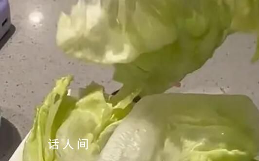 海底撈回應(yīng)8塊錢生菜僅2片 我們是用很精準(zhǔn)的克秤來稱重的