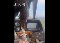 巨鳥撞穿飛機擋風玻璃 殘骸嵌入機身 