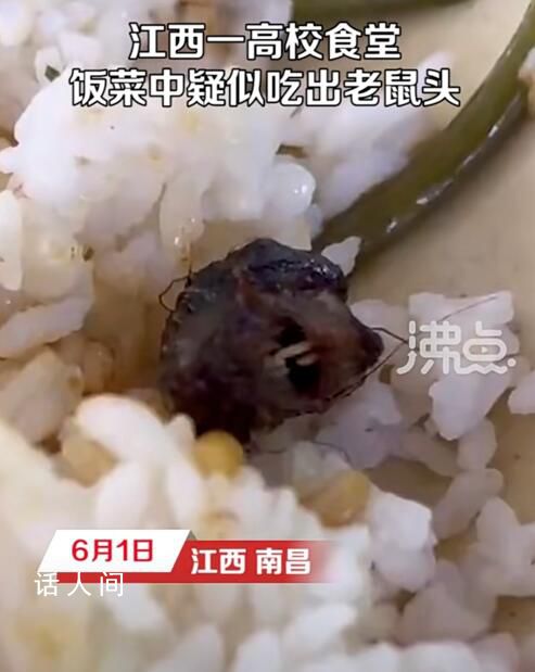 官方:頂格處罰鼠頭鴨脖涉事企業(yè)