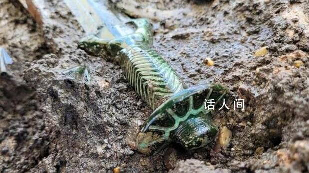 德國發現3000年前青銅劍 至今仍在發光