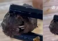 “鼠頭”異物當日被食堂丟棄 頂格處罰
