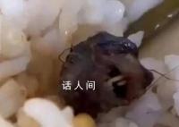 鼠頭到底如何一步步變成了鴨脖 為何鼠頭曾被認(rèn)定為鴨脖