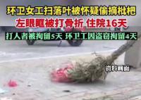 環衛工摘枇杷被打 警方回應