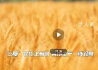 “三夏”農忙正當時 全國各地集中人力機械搶抓晴好天氣搶收