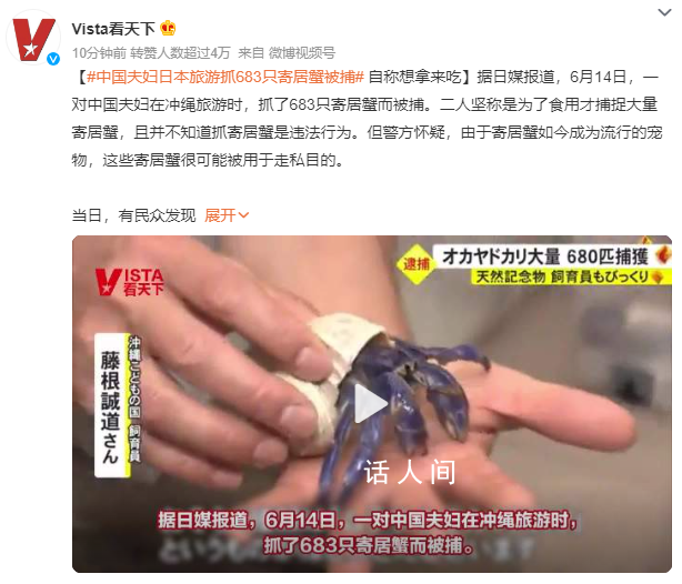 中國夫婦日本旅游抓683只蟹被捕 堅稱是為了食用才捕捉大量寄居蟹
