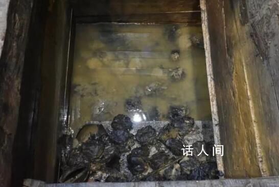 河南發現距今2000多年的粽子 走近中國最古老的實物粽子