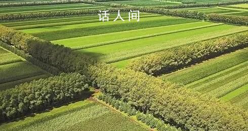 如果精神有顏色它一定在其中 一座綿延萬里的綠色長城正不斷延伸和擴展