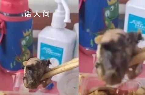 盒飯現(xiàn)鼠頭 院長:訂餐者無不良反應