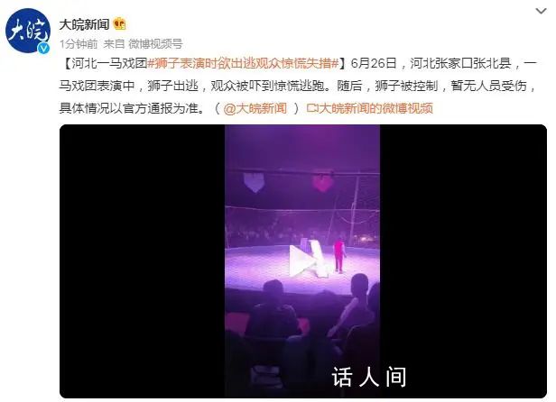 馬戲團(tuán)獅子表演時(shí)欲出逃 觀眾被嚇跑