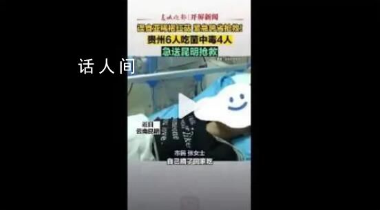 貴州6人吃野生菌4人被送云南搶救 網友：別做菇勇者