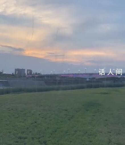 成都一草坪驚現(xiàn)上百條“蚊卷風(fēng)” 蚊子呈螺旋狀一條一條的