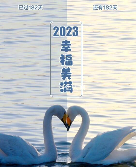 今天是平分2023年的一天 生活中無處不在的對稱美學