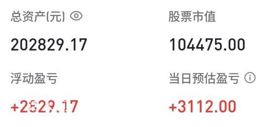 胡錫進:目前實現盈利2829.17元