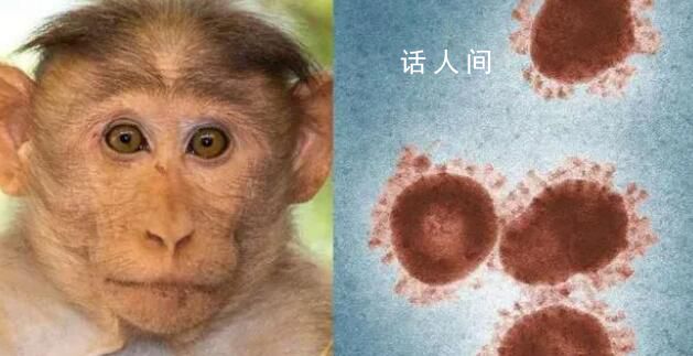 沈陽發現一例猴痘病例 猴痘的傳染源是什么