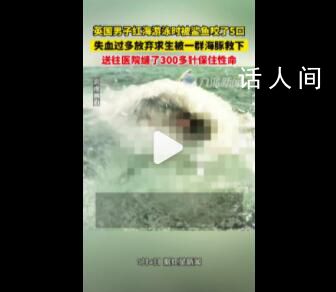 男子游泳被鯊魚襲擊幸有海豚相救 留下了5個巨大的傷口