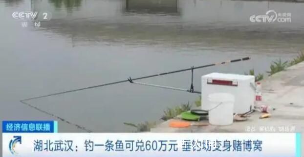 一條魚換60萬?警方突襲釣場抓86人