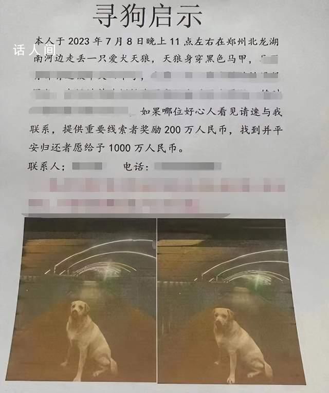 懸賞千萬狗主人或涉傳播虛假信息罪 嚴重擾亂社會秩序