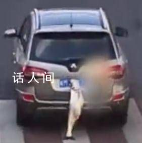 男子炫耀釣到大魚(yú)掛后備箱示眾 網(wǎng)友：釣魚(yú)佬是這樣的