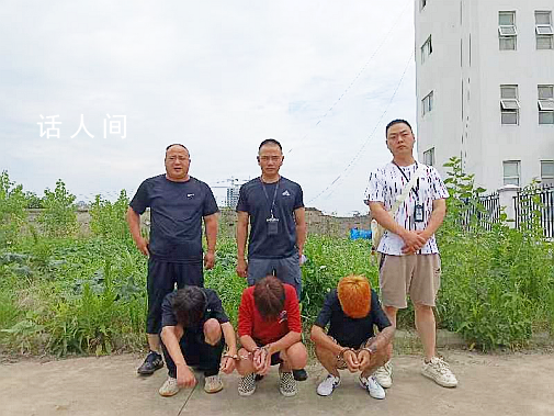 安徽刑警3天抓了1062人 破獲刑事案件820起