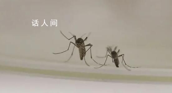 今夏蚊子都熱死了?北京疾控回應